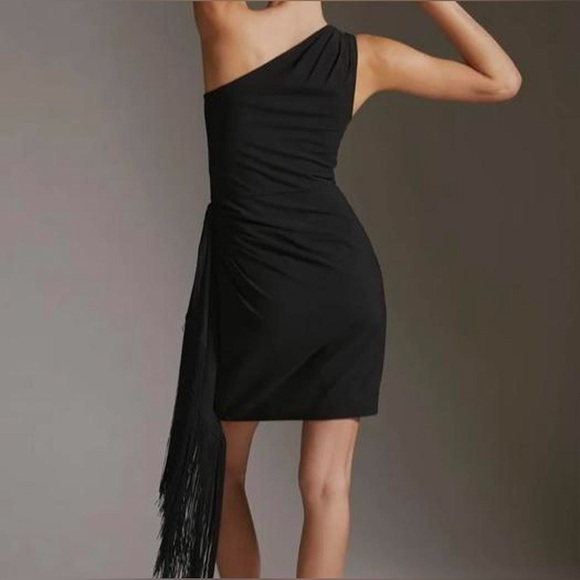 HUTCH Ruched Fringe Mini Dress Size XL - New w/tags - Picture 2 of 4